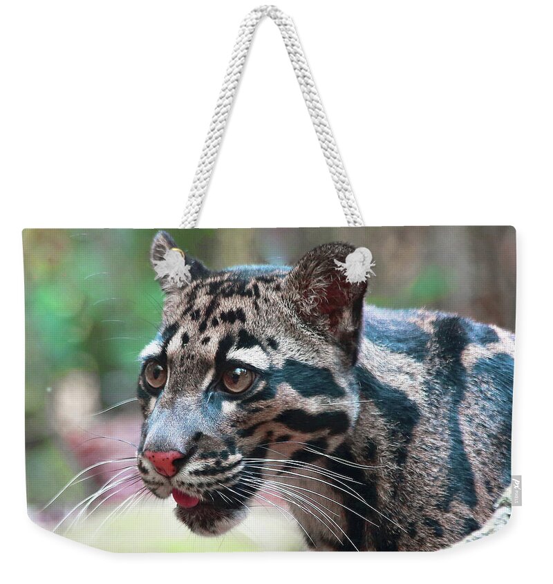 Leopard Weekender Tote Bag featuring the photograph Niran by Gina Fitzhugh