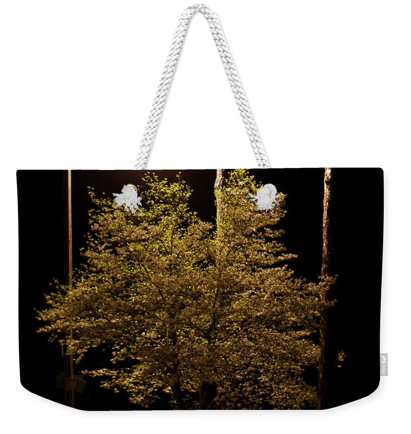 Scenic Weekender Tote Bag featuring the photograph Nite Lite by Skip Willits