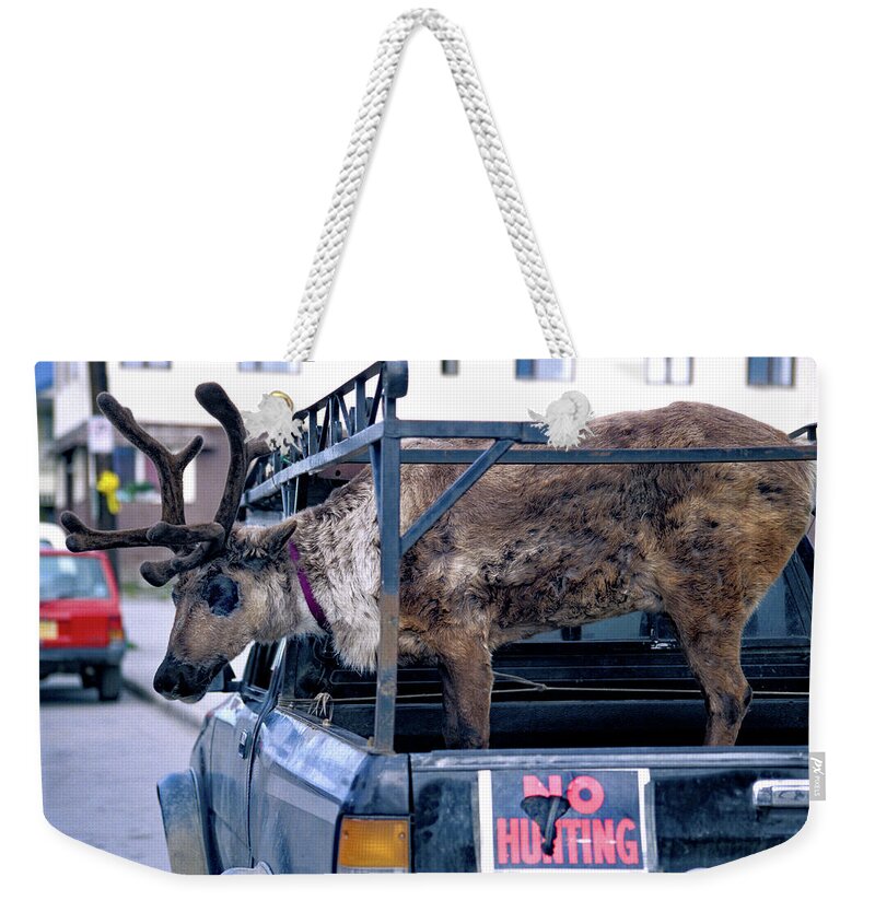 Alaska Weekender Tote Bag featuring the photograph No Hunting by Jerry Griffin