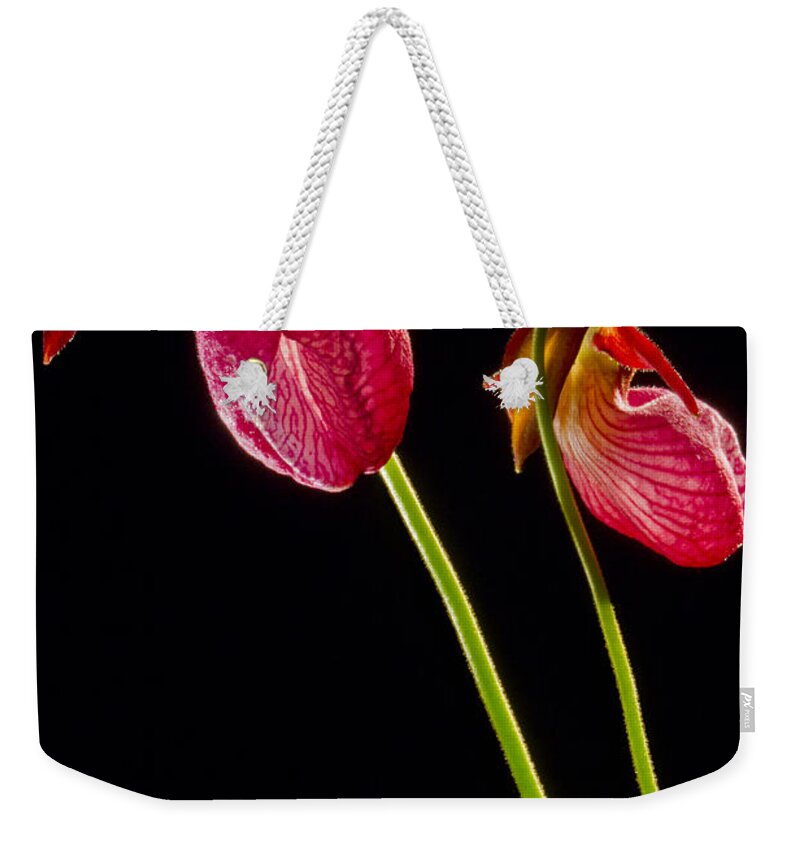 Photography Weekender Tote Bag featuring the photograph No Lady Slipper Was Harmed by Frederic A Reinecke