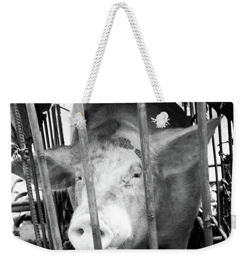 Mati Weekender Tote Bag featuring the photograph No More Grunt by Jez C Self
