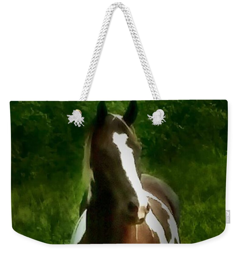 Horse Weekender Tote Bag featuring the photograph No Name Horse by Dani McEvoy