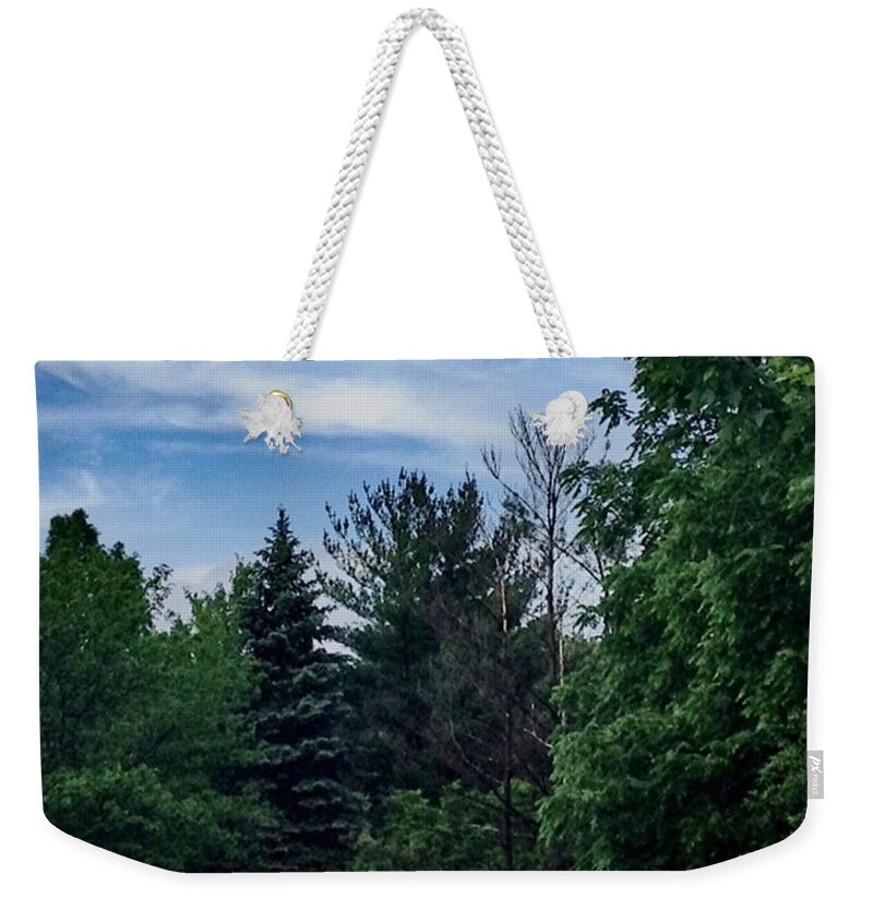Decor Weekender Tote Bag featuring the photograph No Noise In Illinois by Frank J Casella