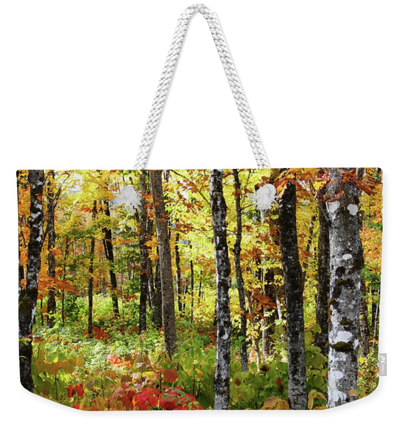 Photography Weekender Tote Bag featuring the photograph North Woods Trees #6 by Brett Pelletier