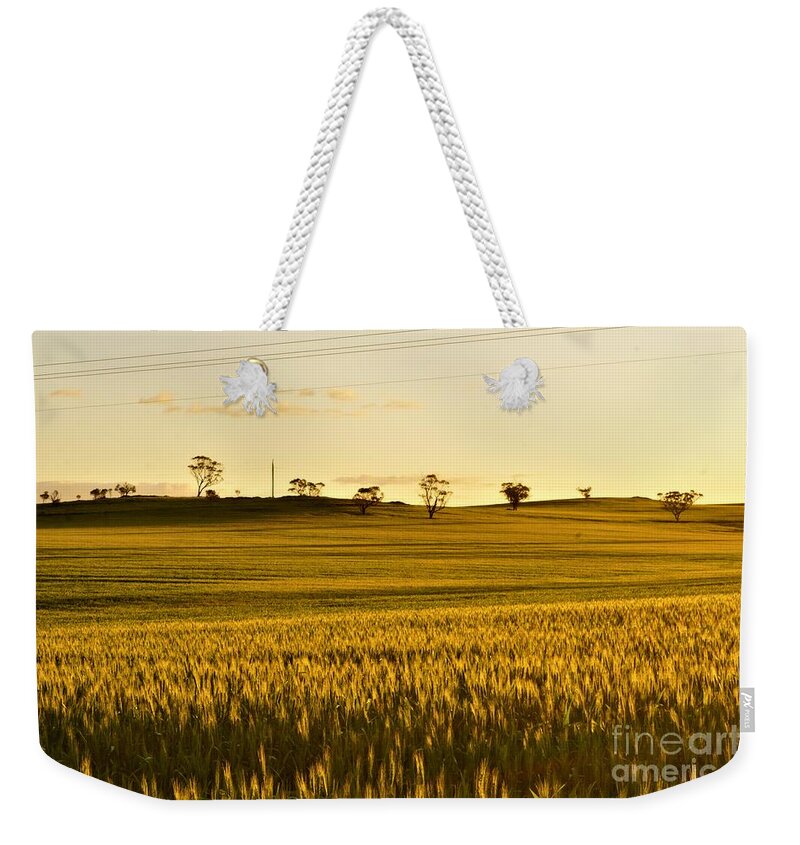 Northam Weekender Tote Bag featuring the photograph Northam by Cassandra Buckley