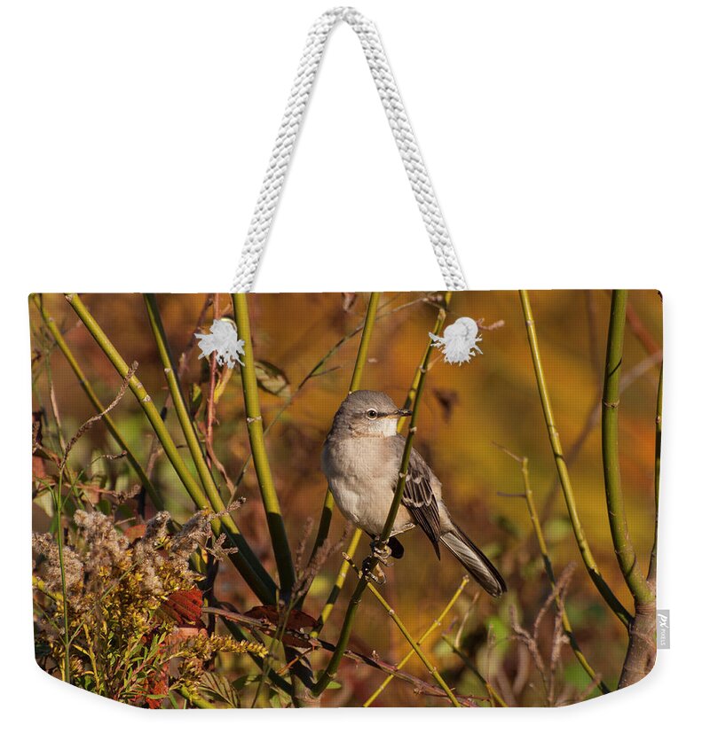 Northern Mockingbird Weekender Tote Bag featuring the photograph Northern Mockingbird 2 by Flees Photos