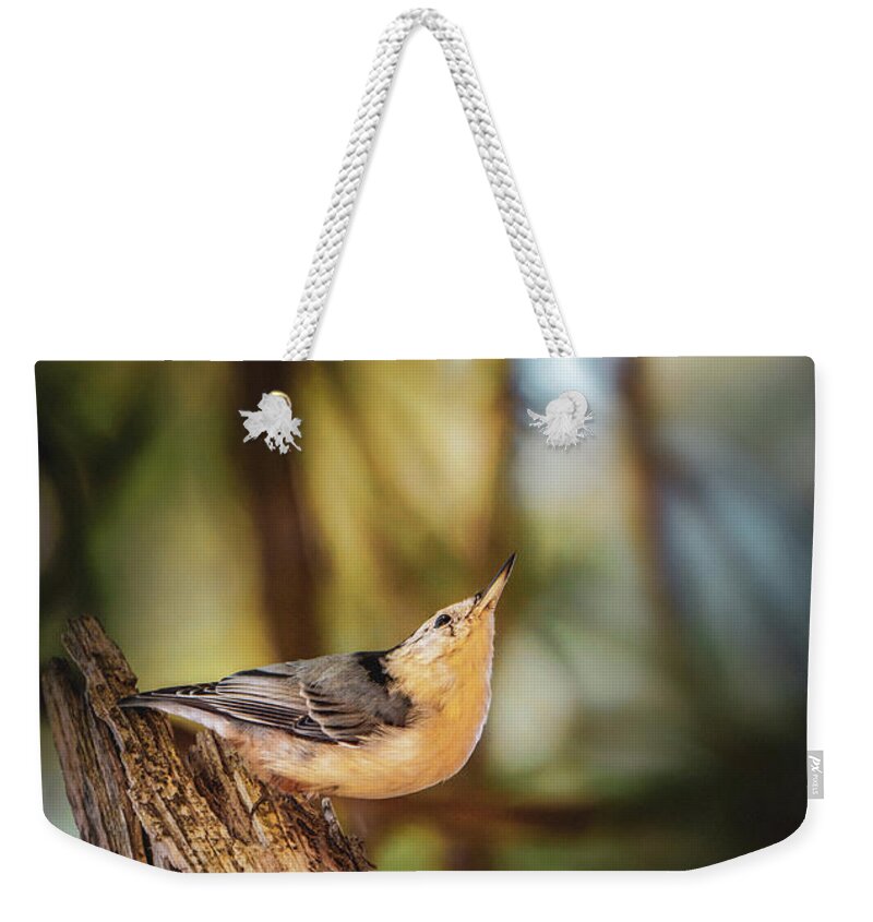 Animal Weekender Tote Bag featuring the photograph Northern Nuthatch by Bob Orsillo