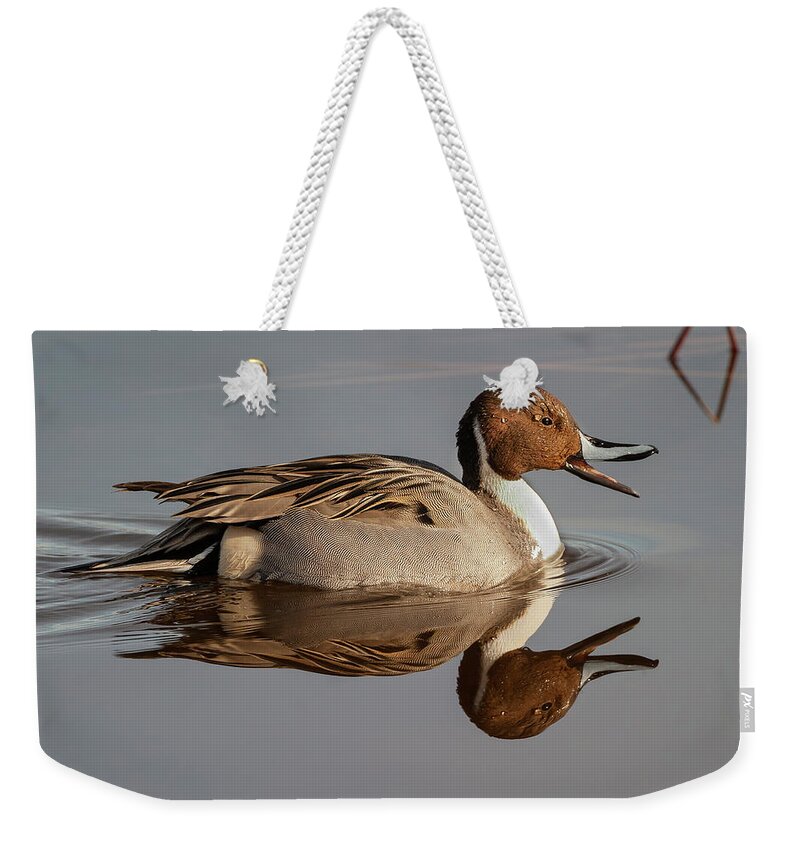 Mark Miller Photos Weekender Tote Bag featuring the photograph Northern Pintail Reflection by Mark Miller