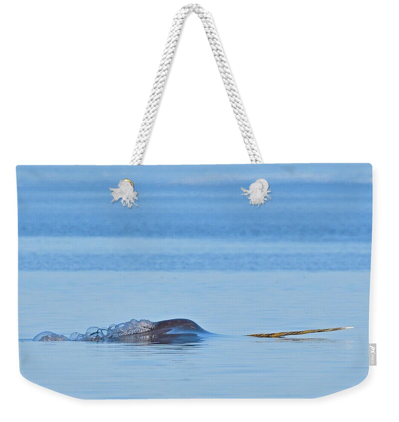 Narwhal Weekender Tote Bag featuring the photograph Northern Unicorn by Tony Beck