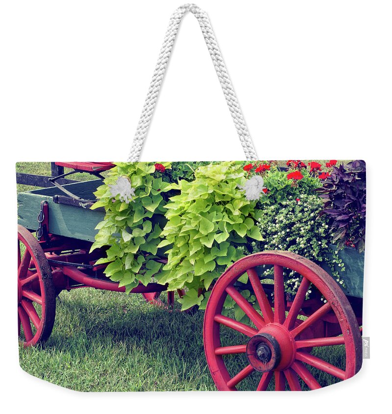 Floral Arrangement Weekender Tote Bag featuring the photograph Nostalgia Pretty by Kathi Mirto