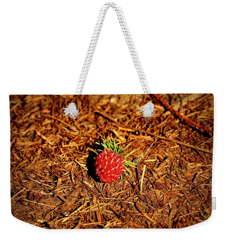 Raspberry Weekender Tote Bag featuring the photograph Not a raspberry by Lukasz Ryszka