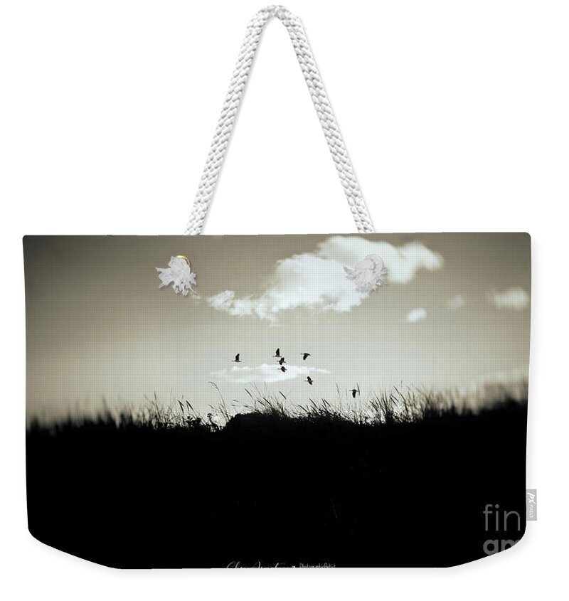 Monotone Weekender Tote Bag featuring the photograph Nothing lasts by Chris Armytage