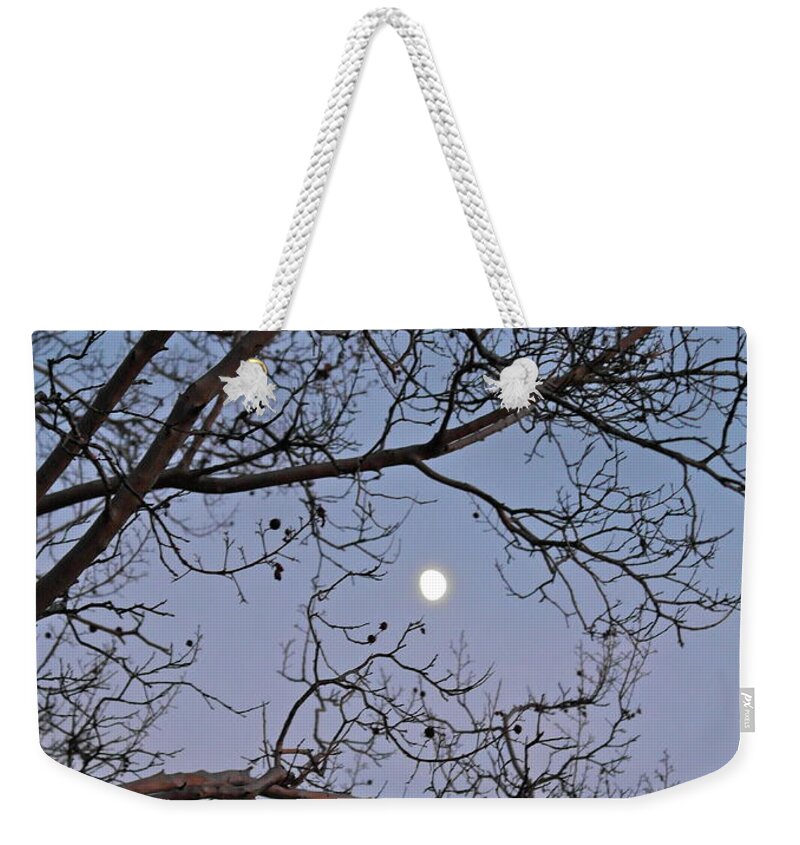 November Weekender Tote Bag featuring the photograph November Moon by Michele Myers