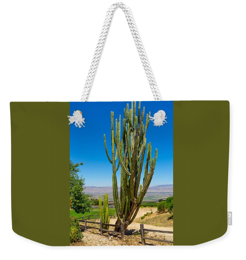 California Weekender Tote Bag featuring the photograph Now That's a Cactus by Derek Dean