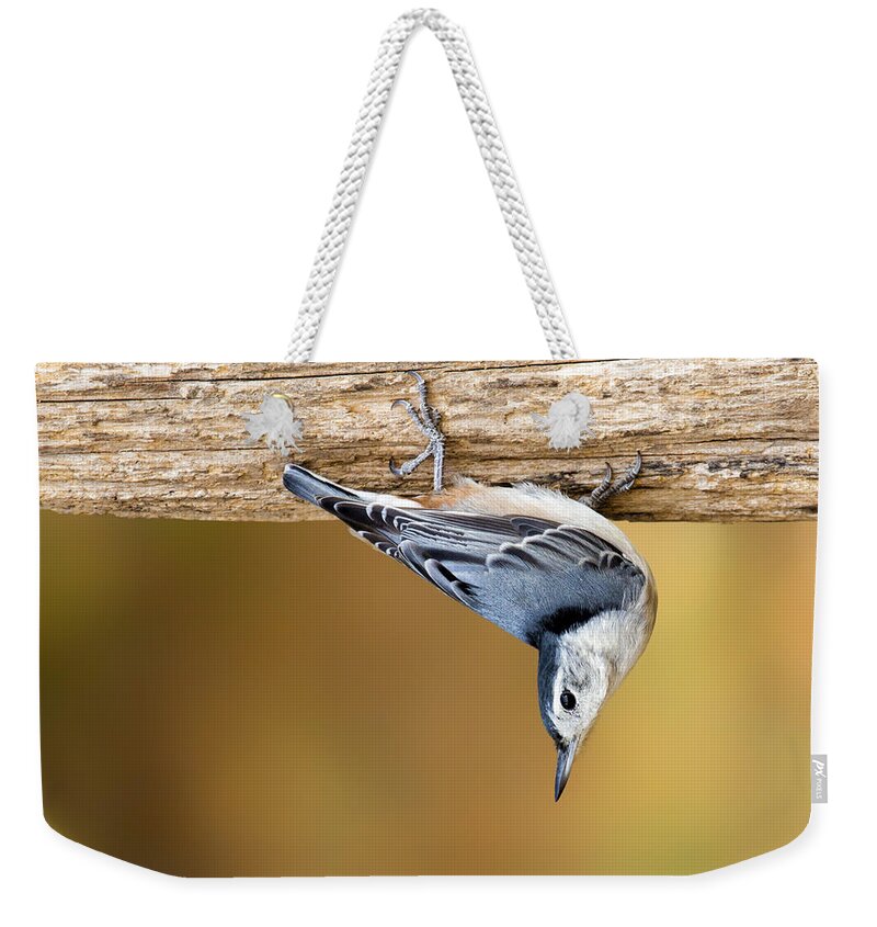 Birding Weekender Tote Bag featuring the photograph Nuthatch Dropdown by Bill and Linda Tiepelman