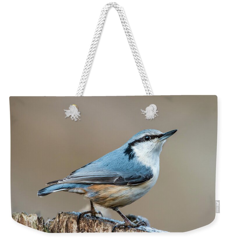Nuthatch Weekender Tote Bag featuring the photograph Nuthatch's pose by Torbjorn Swenelius