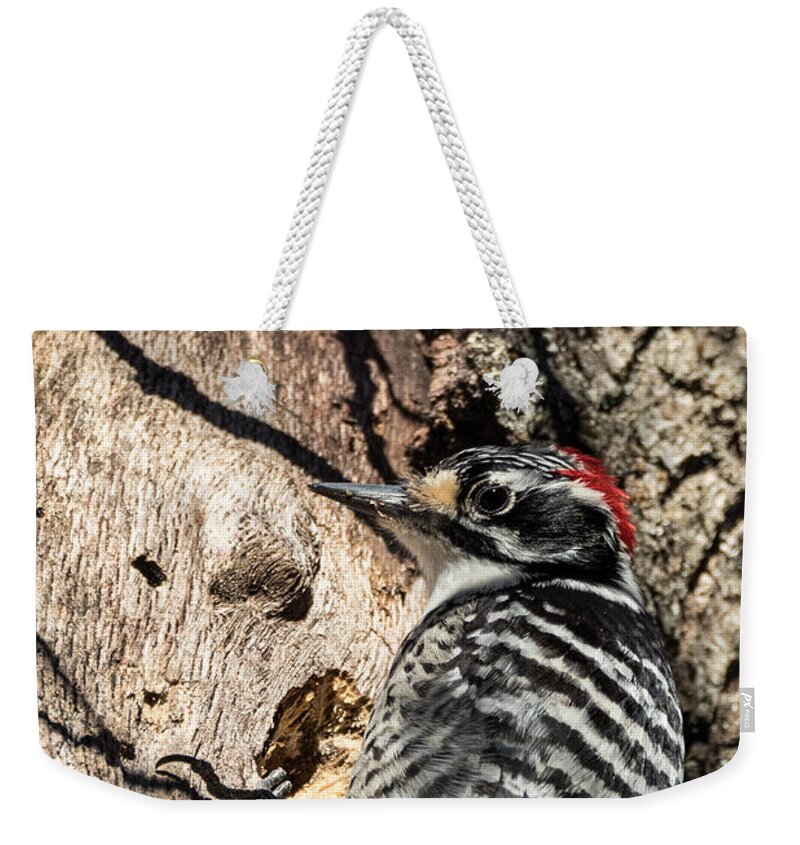 Woodpecker Weekender Tote Bag featuring the photograph Nuttall's Woodpecker by Kathleen Bishop