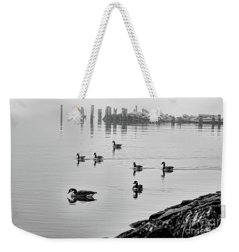 Ny Weekender Tote Bag featuring the photograph Nyack geese by Chuck Kuhn