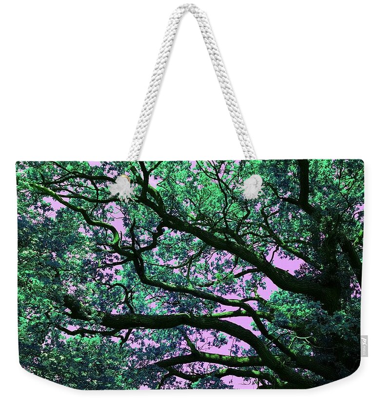  Weekender Tote Bag featuring the photograph Oak Above In Emerald Green by Rowena Tutty