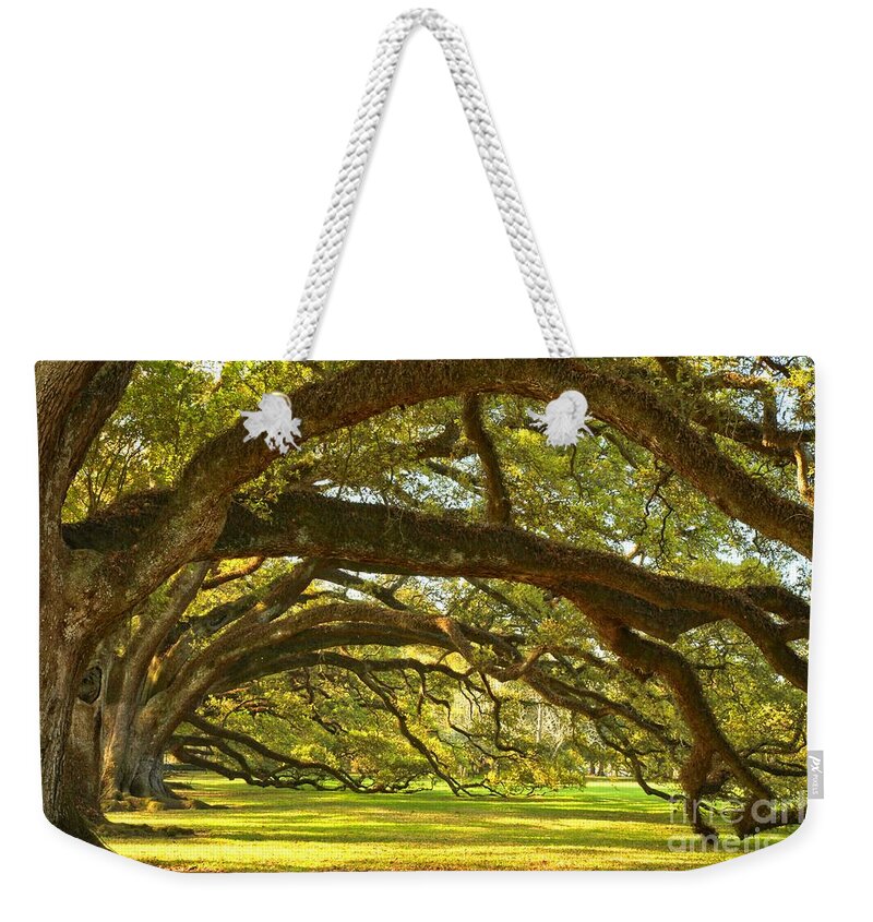 Tunnel Of Oak Trees Weekender Tote Bag featuring the photograph Oak Alley Tunnel Of Oaks by Adam Jewell