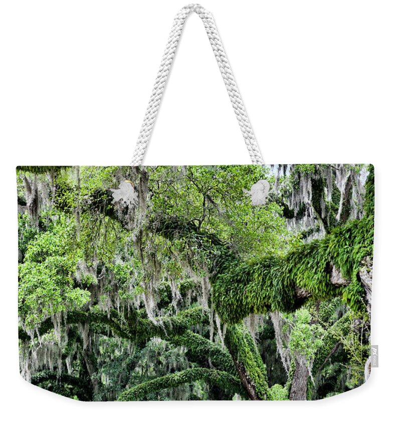 Avery Island Weekender Tote Bag featuring the photograph Oak Moss Trees by Chuck Kuhn