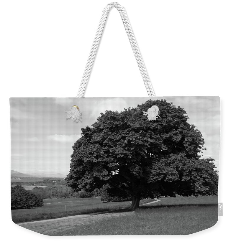 Tree Weekender Tote Bag featuring the photograph Oak Tree - Killarney National Park by Aidan Moran