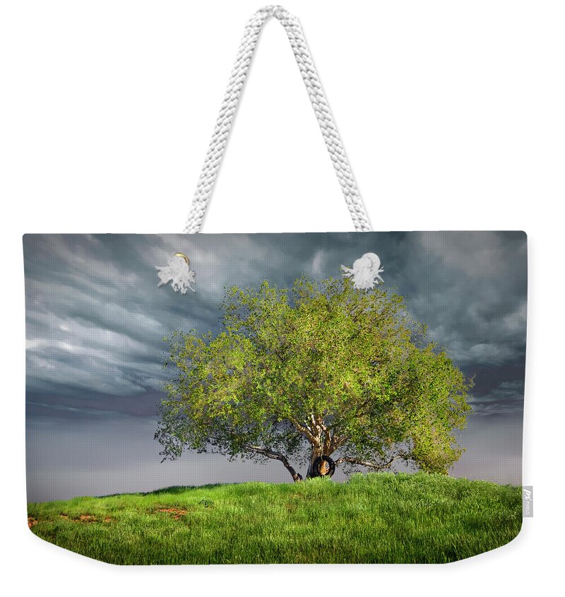 Oak Tree Weekender Tote Bag featuring the photograph Oak Tree With Tire Swing by Endre Balogh