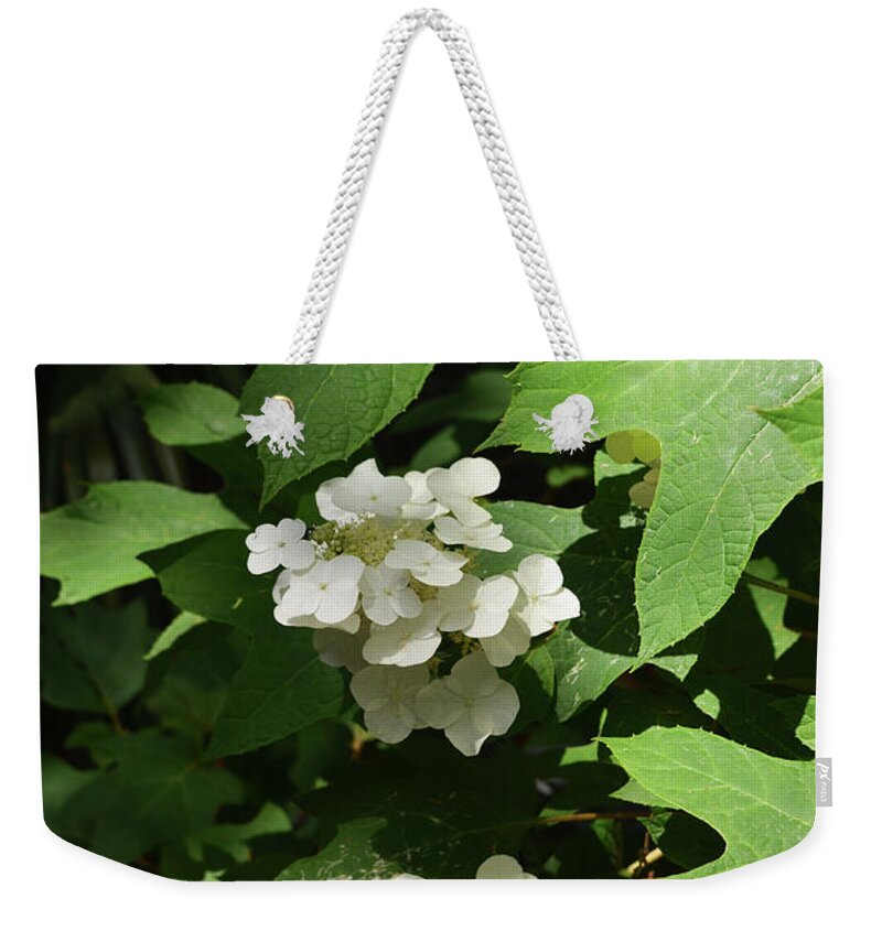Oakleaf Hydrangea Weekender Tote Bag featuring the photograph Oakleaf Hydrangea Floral by Aimee L Maher ALM GALLERY