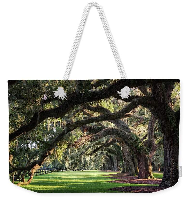 Arch Weekender Tote Bag featuring the photograph Oaks Alley by Alex Mironyuk