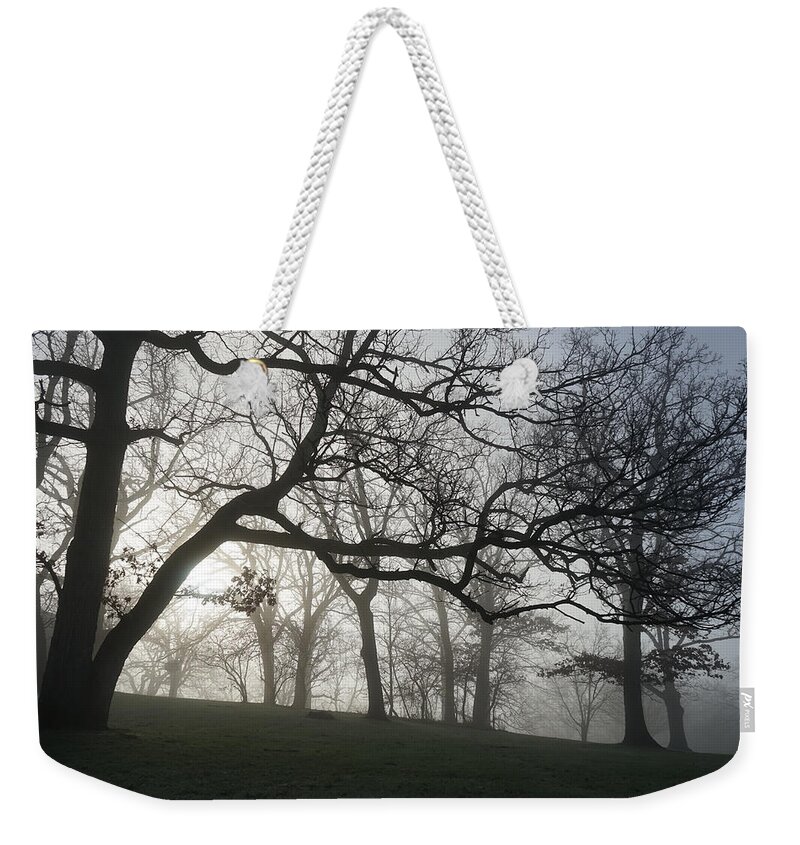 Fog Weekender Tote Bag featuring the photograph Oaks in Fog by Brooke Bowdren