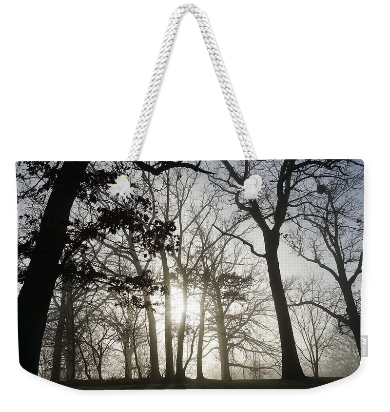 Fog Weekender Tote Bag featuring the photograph Oaks in Silhouette by Brooke Bowdren