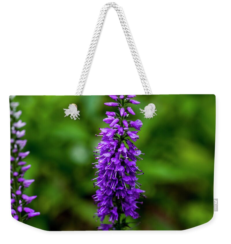 Beautiful Blooms Weekender Tote Bag featuring the photograph Obedient Plant by Bob Corson