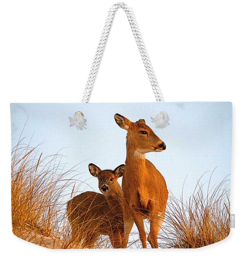 Deer Weekender Tote Bag featuring the photograph Ocean Deer by Newwwman