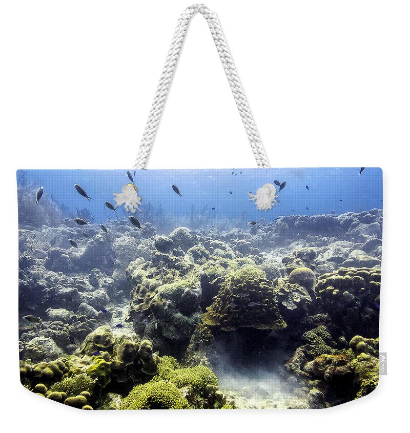 Ocean Light Weekender Tote Bag featuring the photograph Ocean Light II by Perla Copernik