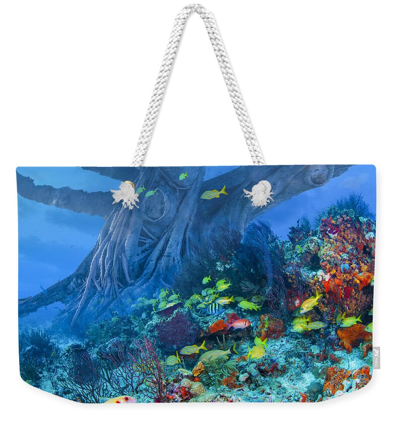 Ocean Weekender Tote Bag featuring the photograph Octopus Tree by Debra and Dave Vanderlaan