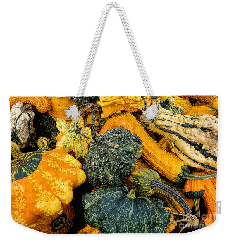 Gourds Weekender Tote Bag featuring the photograph Odd Gourds One by Olivier Le Queinec