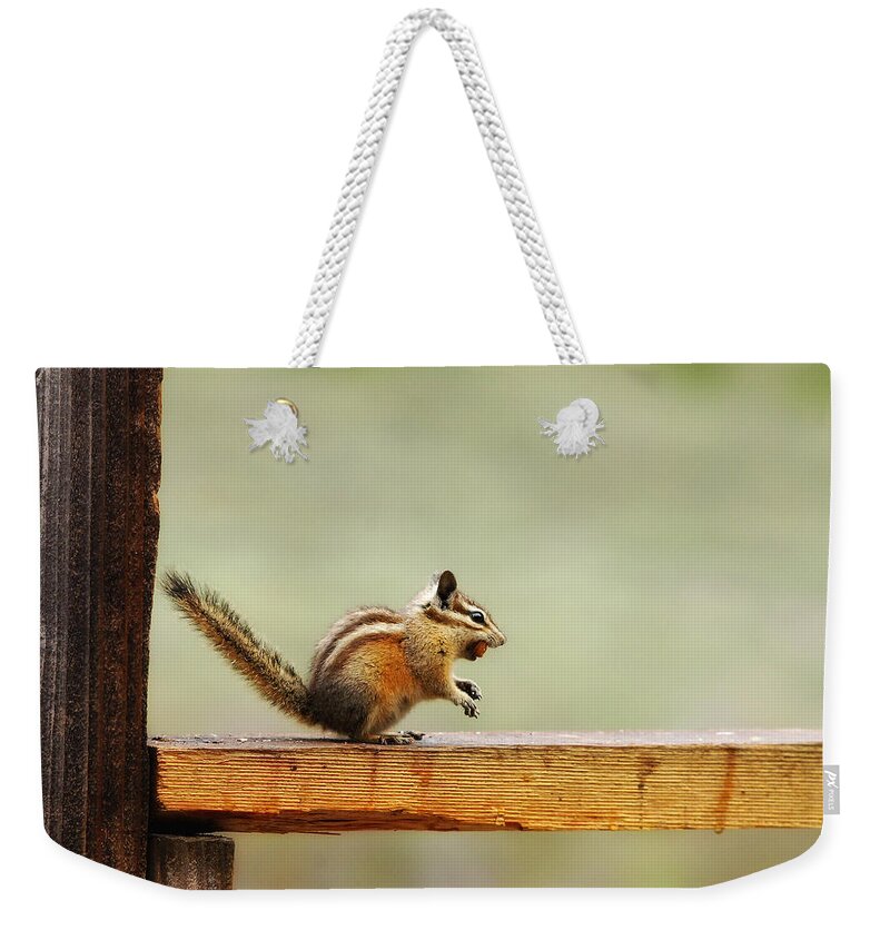 Squirrel Weekender Tote Bag featuring the photograph Off To The Nut House by Donna Blackhall