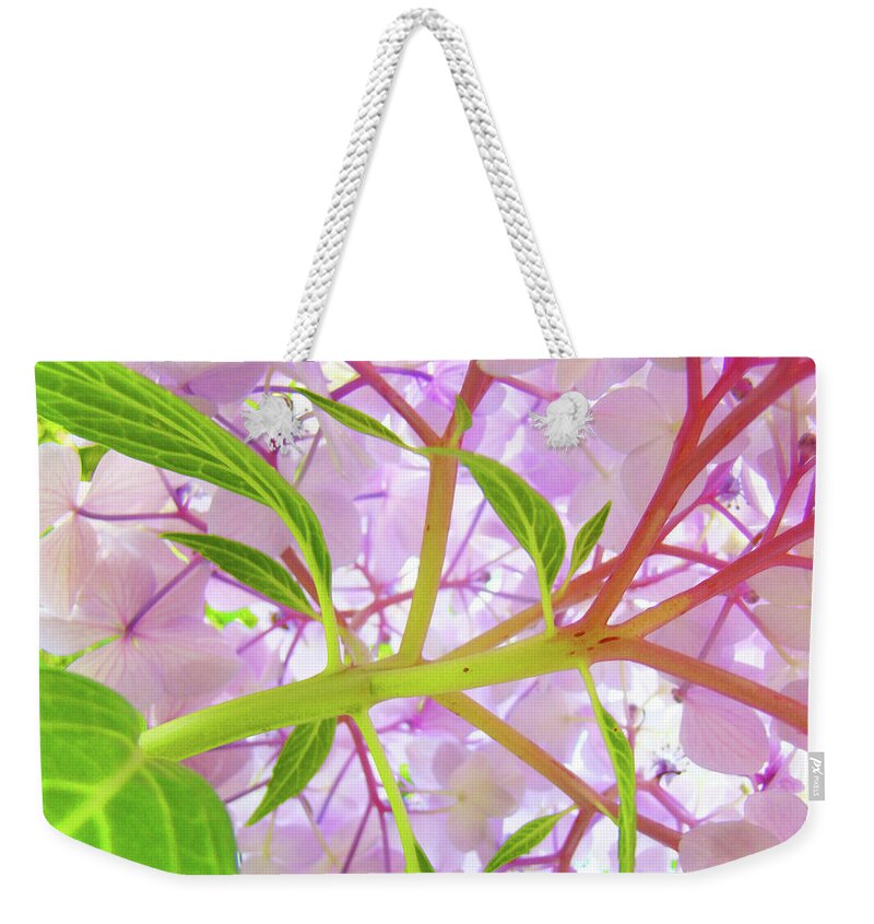 Hydrangea Weekender Tote Bag featuring the photograph OFFICE ART Botanical Hydrangea Flowers Giclee Art Prints Baslee Troutman by Patti Baslee