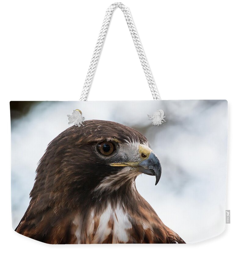 Florida Weekender Tote Bag featuring the photograph Okeeheelee Nature Center - Sir Galahad the Red-Tailed Hawk - Profile by Ronald Reid