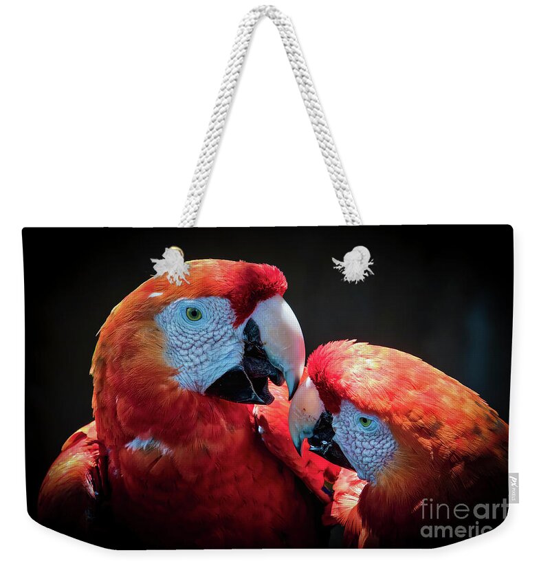 Parrots Weekender Tote Bag featuring the photograph Old Companions by Mitch Shindelbower