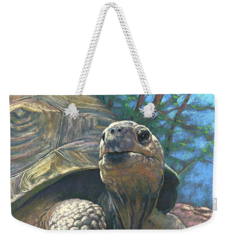 Animals Weekender Tote Bag featuring the pastel Old Man Tortoise by Rita Kirkman