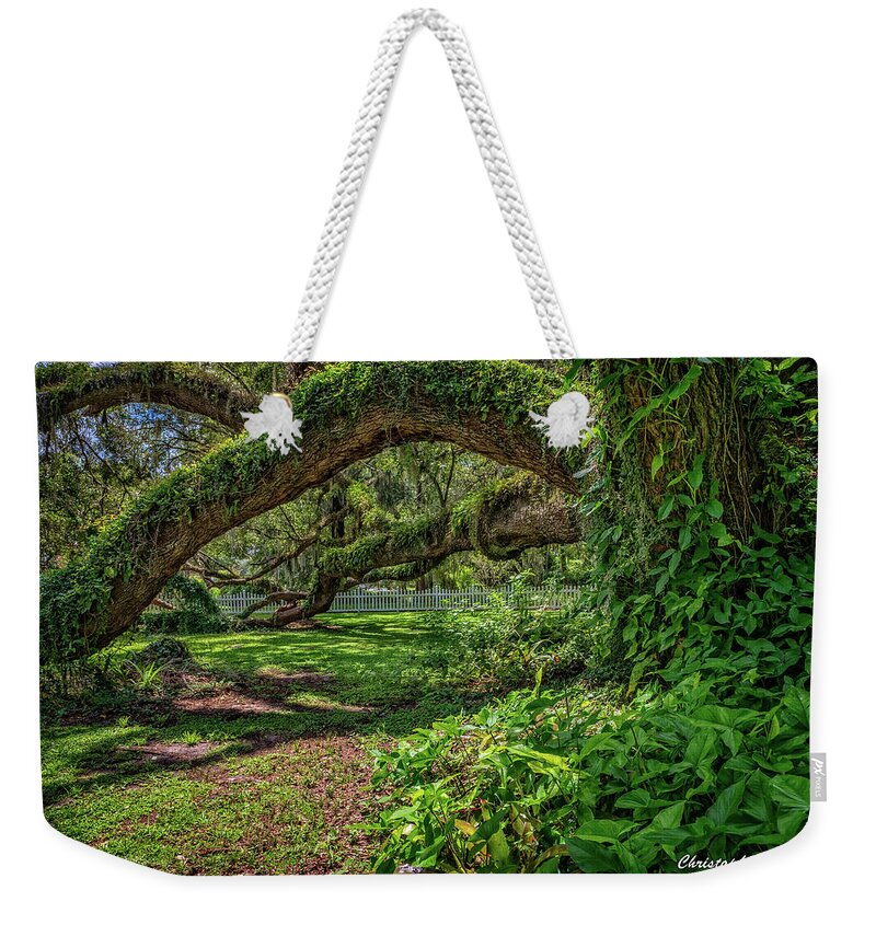Lady Lake Weekender Tote Bag featuring the photograph Old Oak by Christopher Holmes