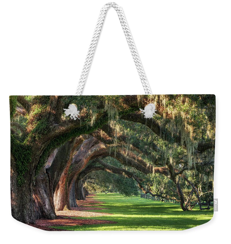 Arch Weekender Tote Bag featuring the photograph Old Oaks by Alex Mironyuk