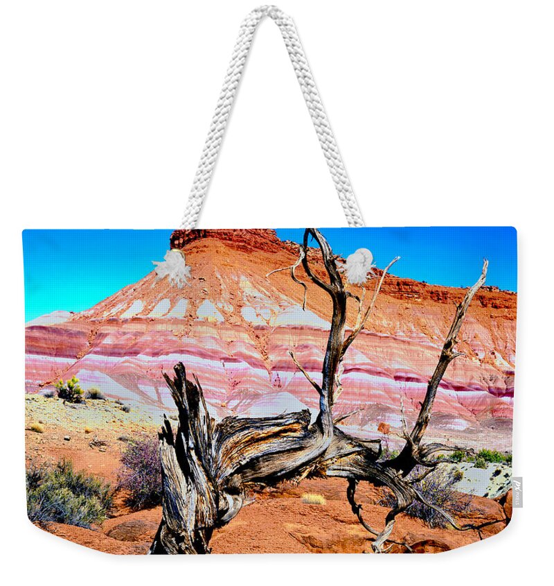Vermilion Cliff/ Paria Wilderness Area Weekender Tote Bag featuring the photograph Old-Timer by Frank Houck
