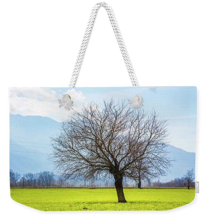 Dubino Weekender Tote Bag featuring the photograph Old Tree by Pavel Melnikov