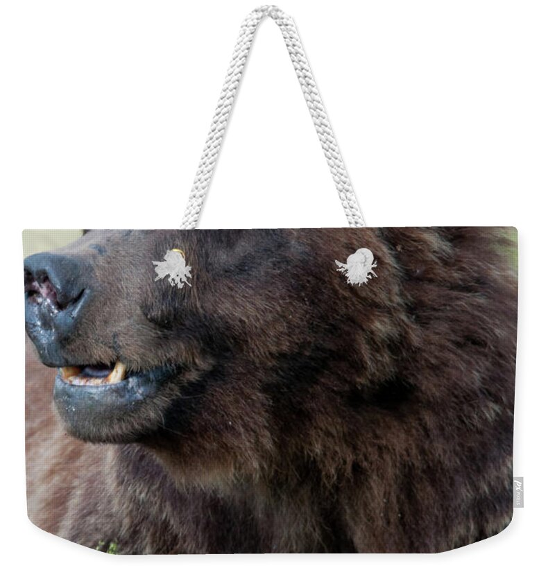 Wyoming Weekender Tote Bag featuring the photograph Old Warrior by Frank Madia