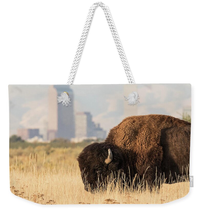 Bison Weekender Tote Bag featuring the photograph Old West Bison in Front of New West City by Tony Hake