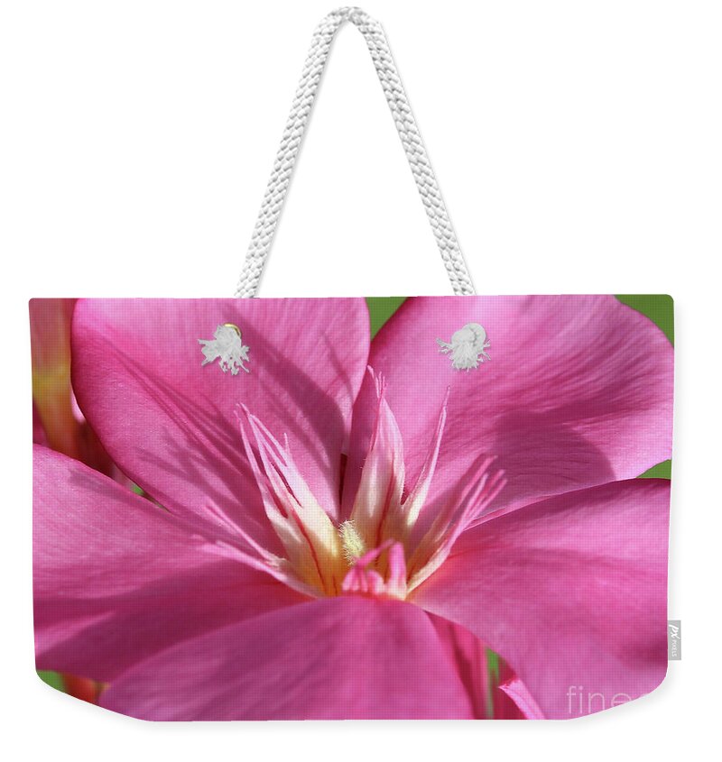 Oleander Weekender Tote Bag featuring the photograph Oleander Maresciallo Graziani 3 by Wilhelm Hufnagl