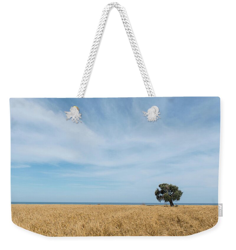 Olive Tree Weekender Tote Bag featuring the photograph Olive tree on the wheat field by Michalakis Ppalis