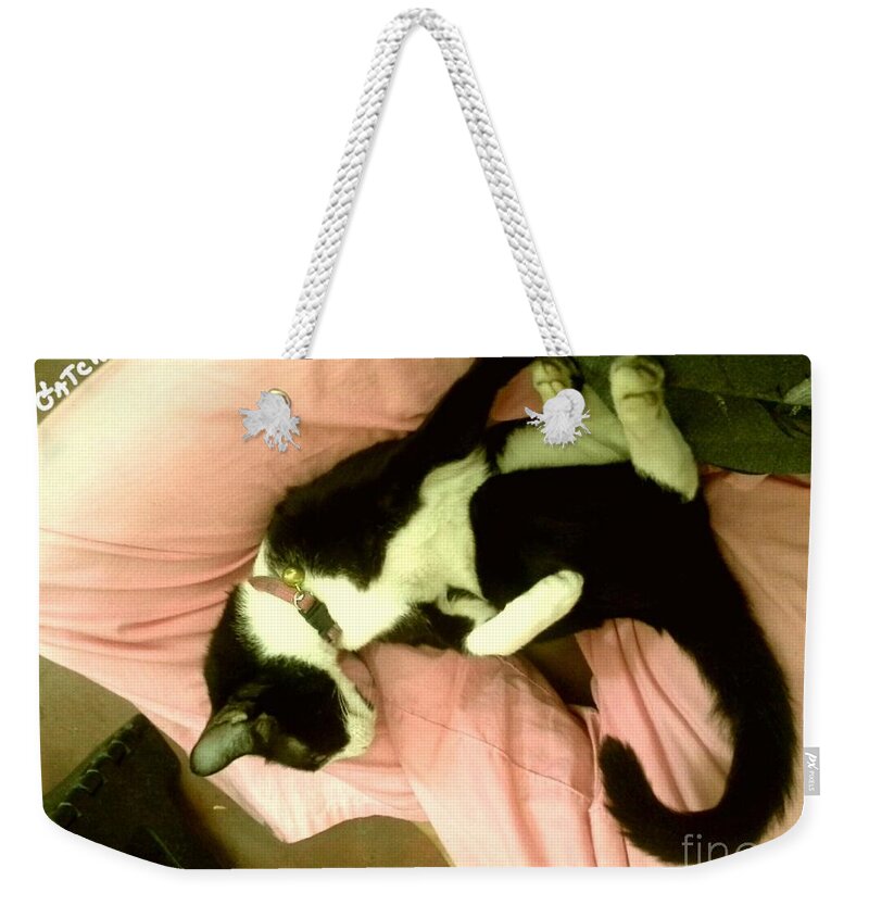 Cat Weekender Tote Bag featuring the photograph On A Lap by Sukalya Chearanantana